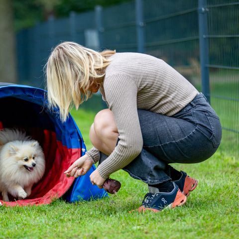 Buitengoed Erve Raewyck - Camping Hardenberg - Image N°5