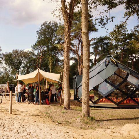 Roodewoud - Aa en Hunze - Image N°4