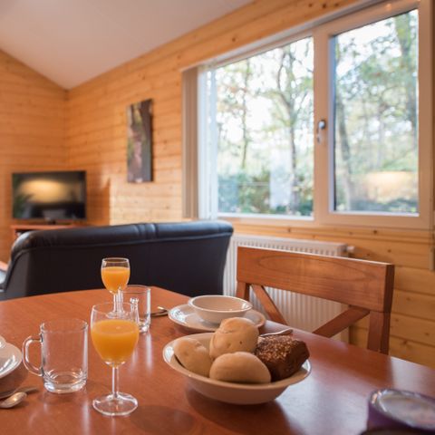 BUNGALOW 4 personnes - Paon bleu