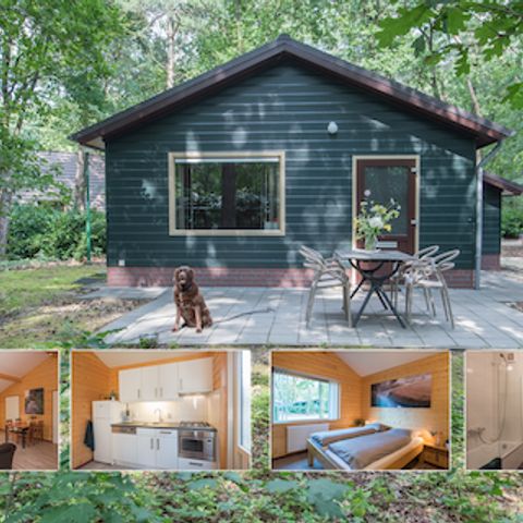 BUNGALOW 4 personnes - Paon bleu