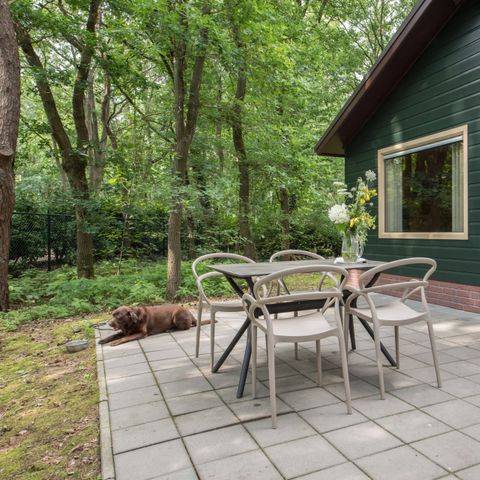 BUNGALOW 4 personnes - Paon bleu