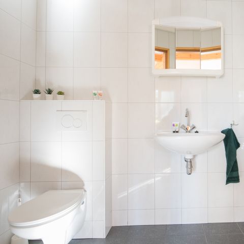 BUNGALOW 4 personnes - Oie aux yeux d'or