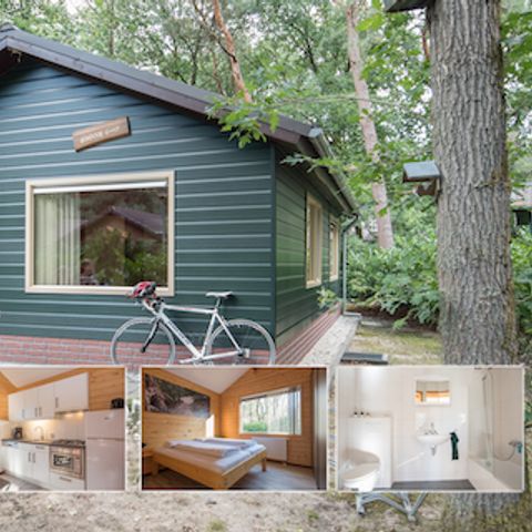 BUNGALOW 4 personnes - Oie aux yeux d'or