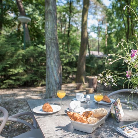 BUNGALOW 1 personne - Oie à cou roux