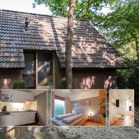 BUNGALOW 4 personnes - Paon de Java