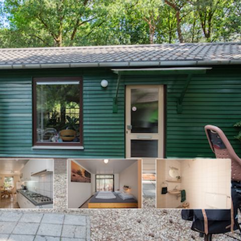 BUNGALOW 4 personnes - Oie empereur