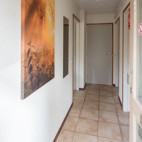 BUNGALOW 4 personnes - Oie empereur