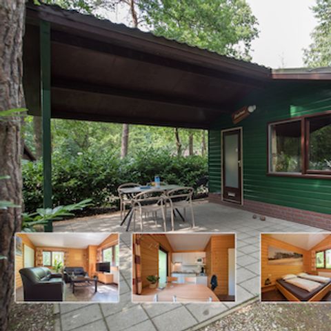 BUNGALOW 4 personnes - Mésange à queue